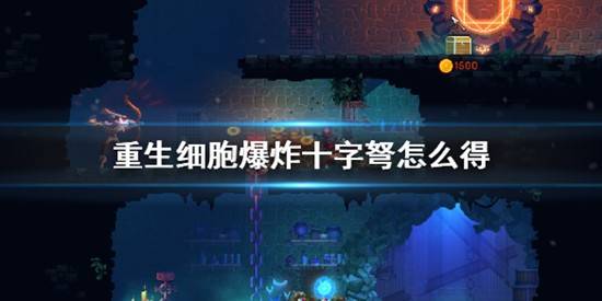 重生细胞爆炸十字弩怎么得？重生细胞爆炸十字弩获得方法