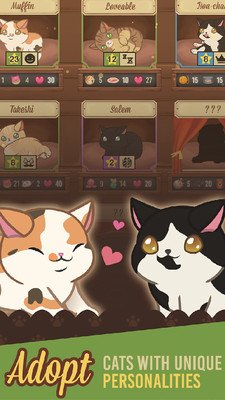 绒毛猫咖啡厅3