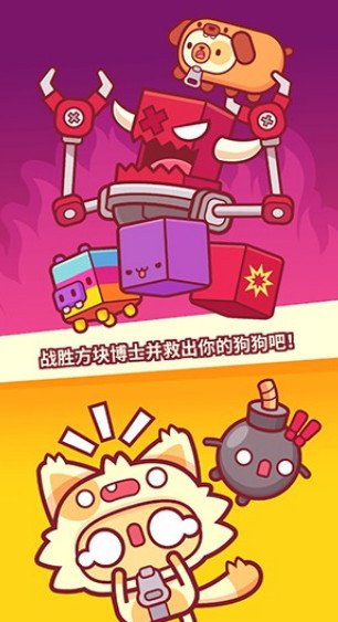 皮皮猫1