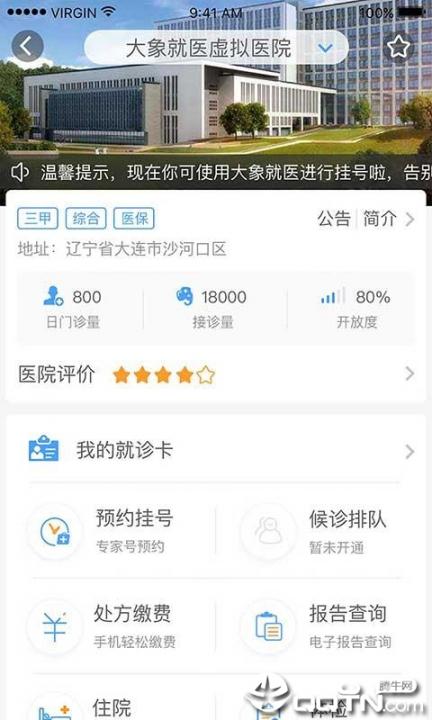 大象就医1