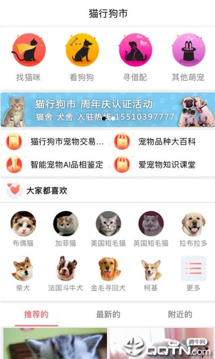 猫行狗市app4
