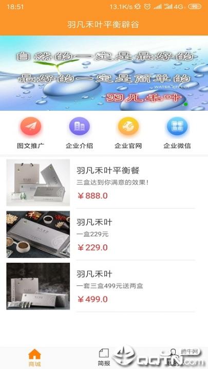 羽凡禾叶3