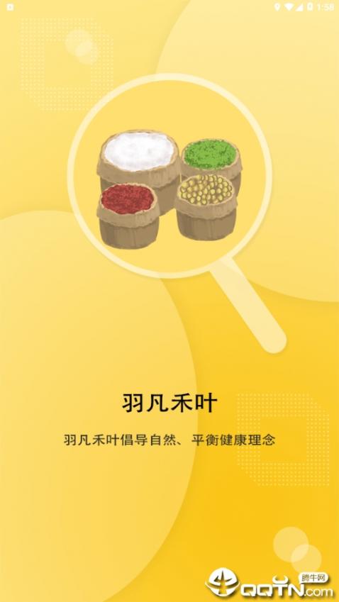 羽凡禾叶4