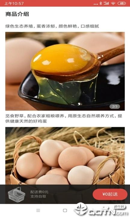 快跑Z4