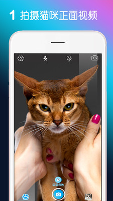 MiaowTalk app1
