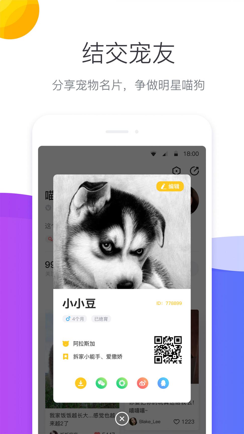 宠优优1
