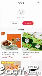 省钱熊4