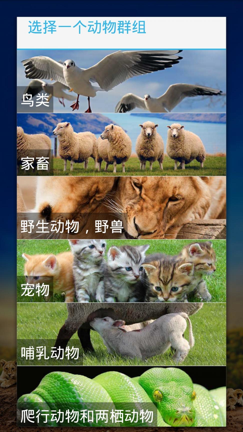 好多小可爱app2