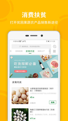菏菜壹号3