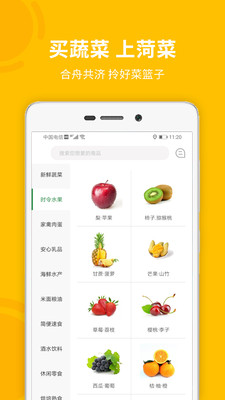 菏菜壹号4