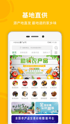 菏菜壹号1
