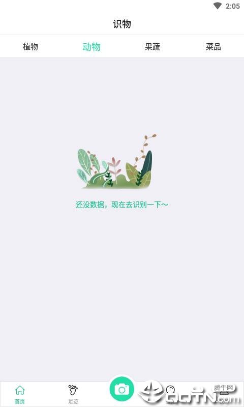 掌上植物网1