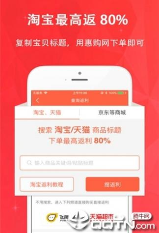 聚惠猪2