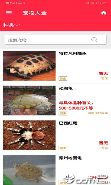火猫宠社3