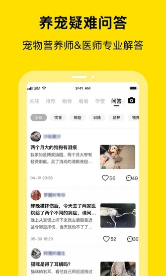 喵喵互助4