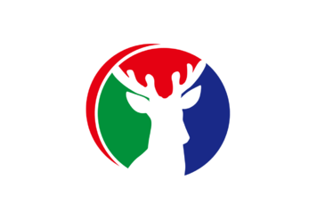 双阳融媒app