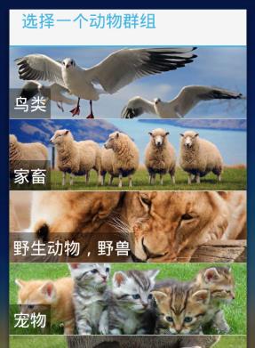 好多小可爱app