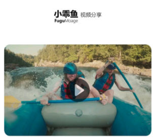 小乖鱼(Fugumate)