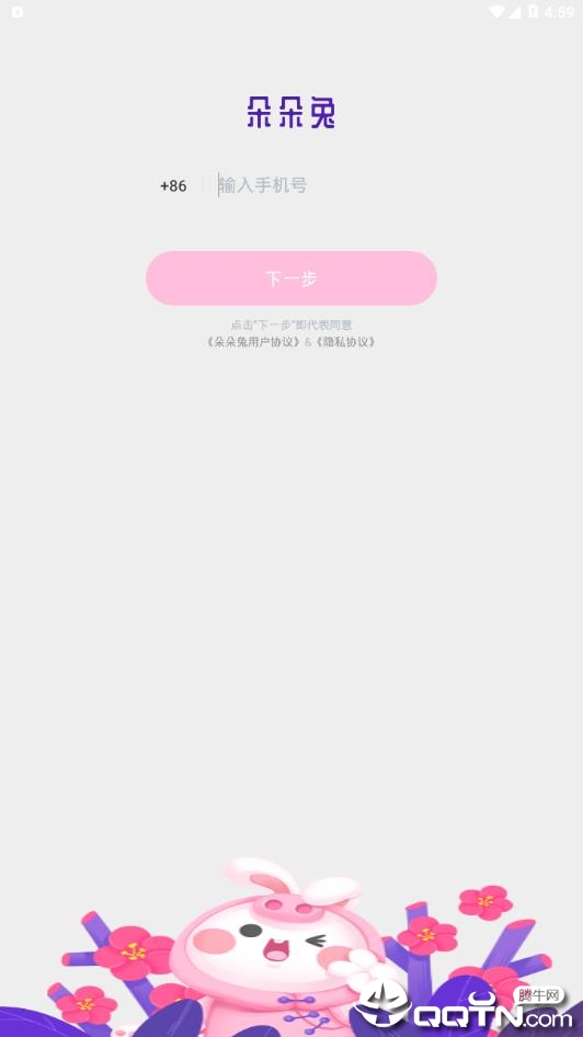 朵朵兔