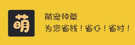 萌宠种草app