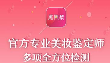 黑凤梨app