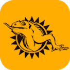 立马拍app