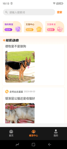 缘宠3