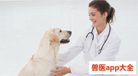 兽医app大全