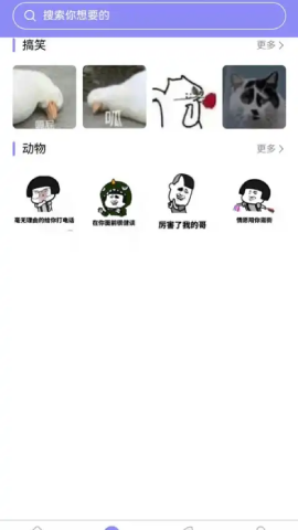 楠桦壁纸1