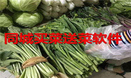 同城买菜送菜软件大全