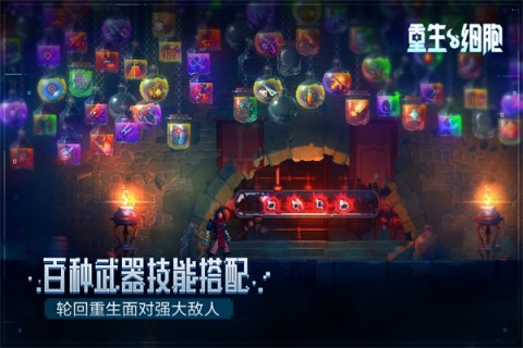 重生细胞破解版手游（Dead Cells）3