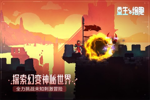 重生细胞破解版手游（Dead Cells）4