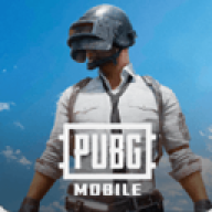 pubg国际版