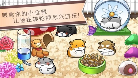 仓鼠的日常3