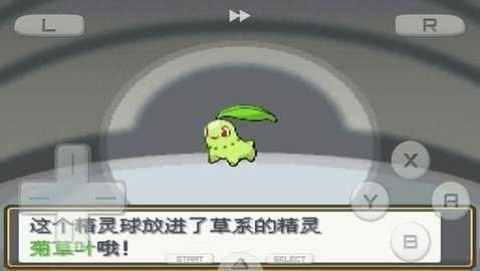 口袋妖怪心金2
