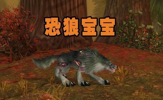 怀旧服35级猎人抓什么宝宝？怀旧服前期猎人能宝宝推荐