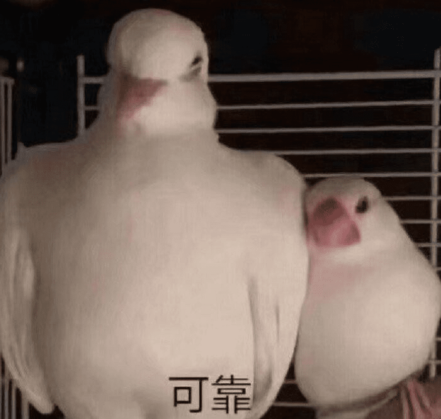 梦幻西游网页版平民带什么伙伴？梦幻网页版常用伙伴介绍