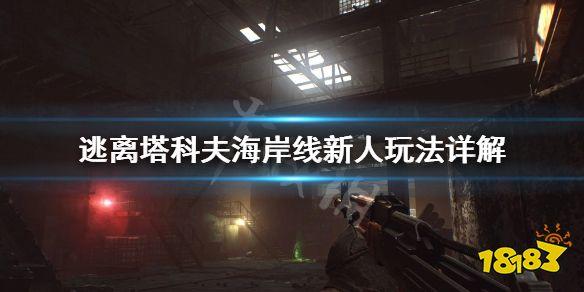 逃离塔科夫海岸线新手攻略，逃离塔科夫海岸线搜刮路线