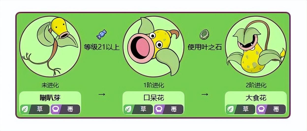 宝可梦喇叭芽几级进化？神奇宝贝喇叭芽进化攻略