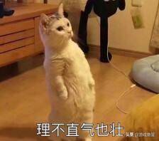 qq飞车手游钻石如何上星耀?qq飞车手游钻石和星耀的区别